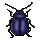 Beetle