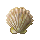 Seashell