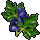 Wolfsbane